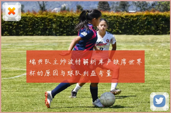 瑞典队主帅波特解析库卢缺席世界杯的原因与球队利益考量