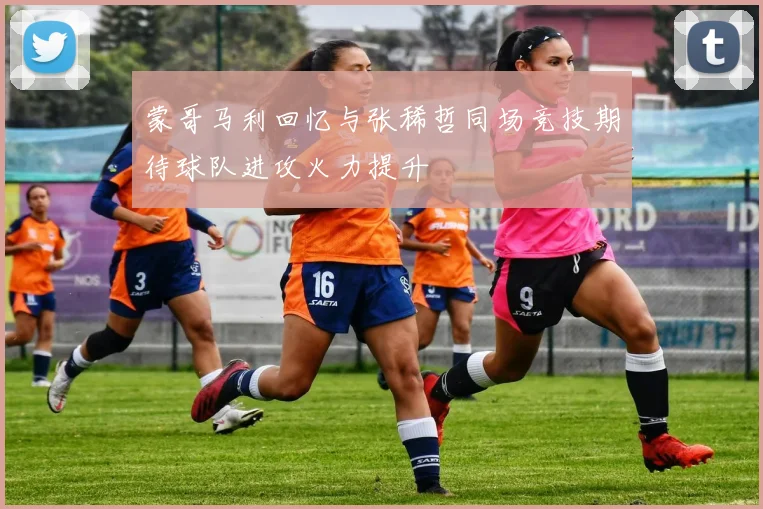 蒙哥马利回忆与张稀哲同场竞技期待球队进攻火力提升