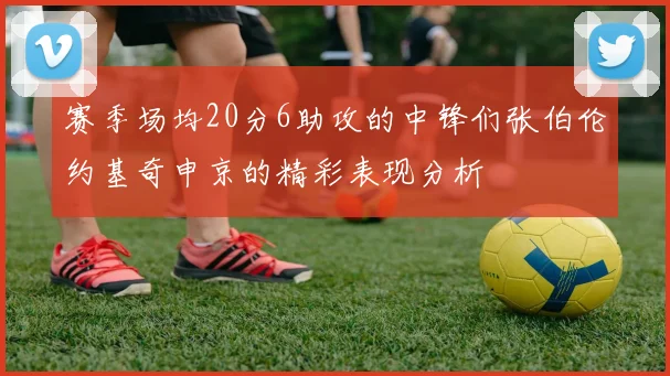 赛季场均20分6助攻的中锋们张伯伦约基奇申京的精彩表现分析