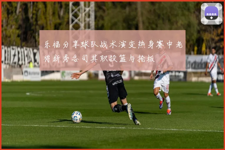 乐福分享球队战术演变热身赛中老将新秀各司其职投篮与抢板
